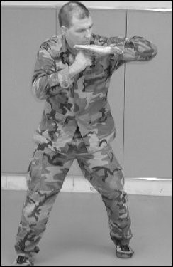 Image result for horizontal elbow strike